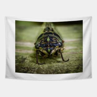 Canadian Cicada Tapestry