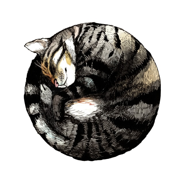 Tranquil Cat Sleeps in a Circle by JCPhillipps