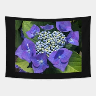 A Perfect Blue Hydrangea Bloom Tapestry