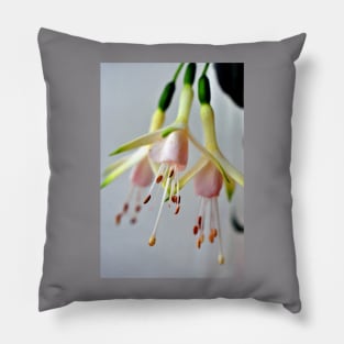 White Fuchsia Hawkshead Summer Flower Pillow