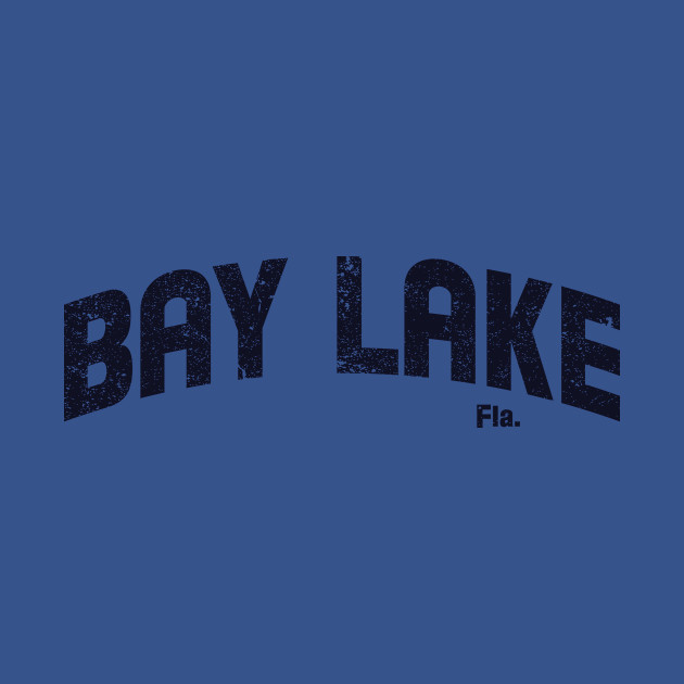 Disover Bay Lake, Fla. - Disney - T-Shirt