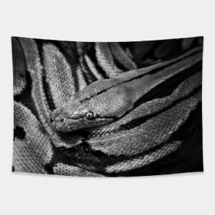 Snake Tapestry