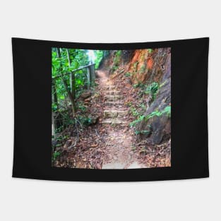 Rocky Stairway of Light Tapestry