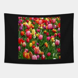Red purple and yellow tulip fields Tapestry
