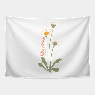 Daisy Flower Illustration With Latin Name Bellis Perennis Tapestry