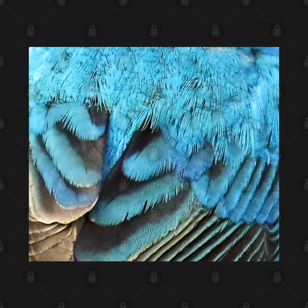 Feathers of a Indigo Bunting by BirdsnStuff