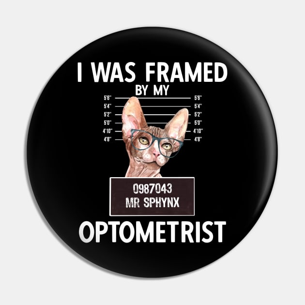 I Was Framed By My Optometrist Pin by Hey Moosey