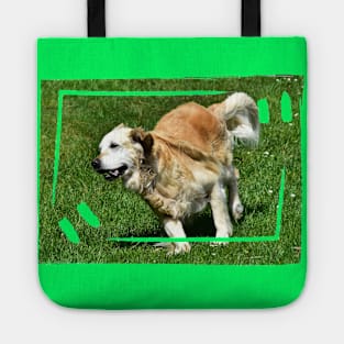 Golden Retriever Tote