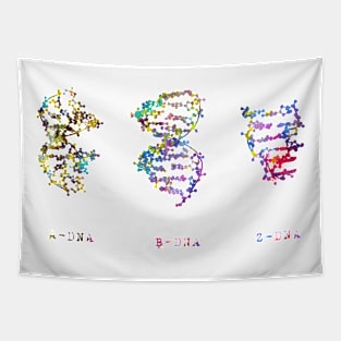 A-,B-, and Z-DNA Tapestry