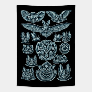 Ernst Haeckel Bats Cerulean Tapestry