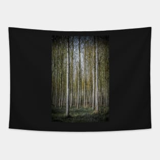 White Sapling Tree Plantation Tapestry