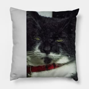 Guard cat on duty Pillow