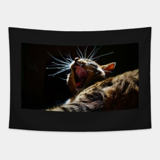 Yawning Kitten Tapestry