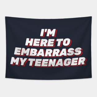 I'm just here to embarrass my teenager Tapestry