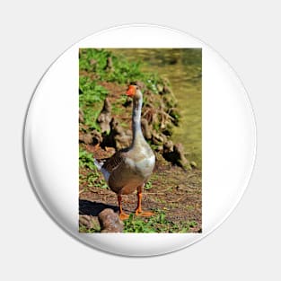 Graylag Goose Pin