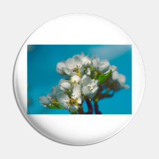 Apple Blossoms Pin