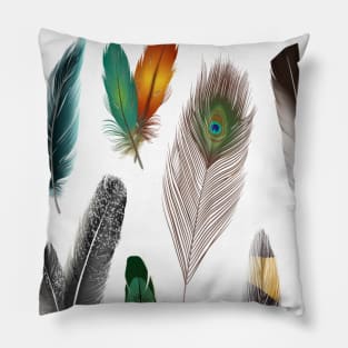 painting with feathers wall decoration Pillow