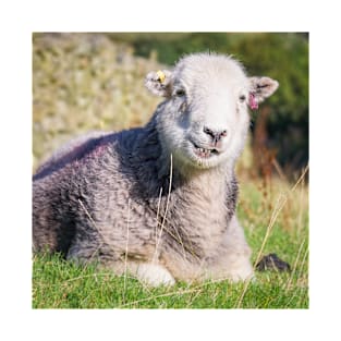 Happy Herdwick Sheep, Lake District T-Shirt