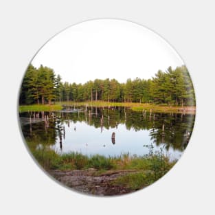 Beaver Pond Frontenac Provincial Park No.2 Pin