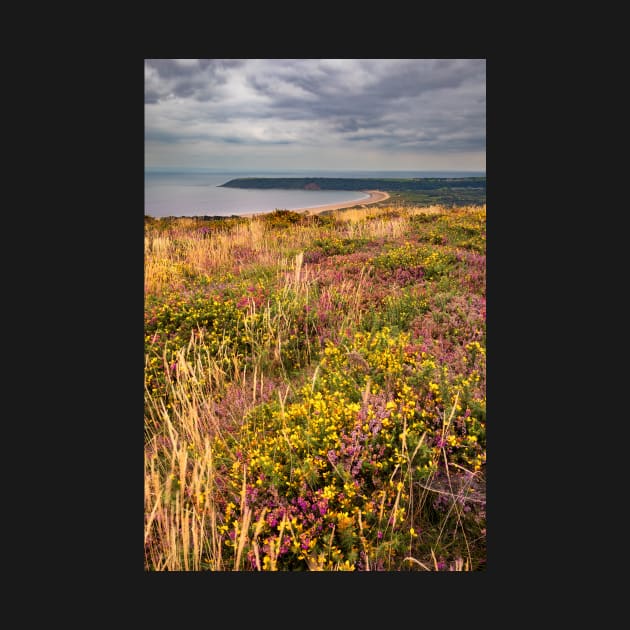 Oxwich Bay from Cefn Bryn, Gower by dasantillo