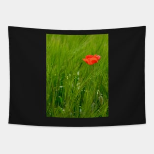 Poppy in Wheat Field Tapestry