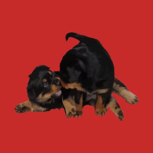 Rottweiler Puppies Playing Vector Isolated T-Shirt