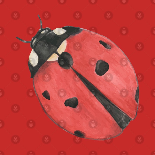 Watercolor Ladybug by DDP Design Studio