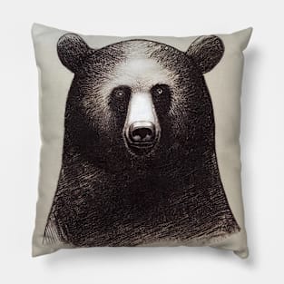 Bear Pillow