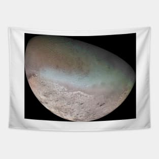 Triton, Voyager 2 image (C030/2076) Tapestry