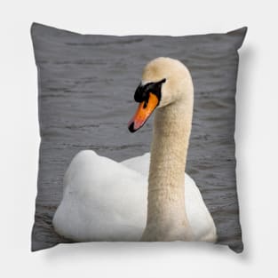 Mute Swan in the Harbor Pillow