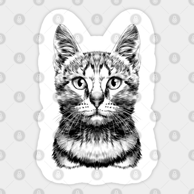 Cute Cat Kitten Face Art Design Gift For Cat Lovers Cute Gift
