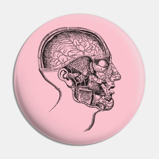 Head anatomy Pin