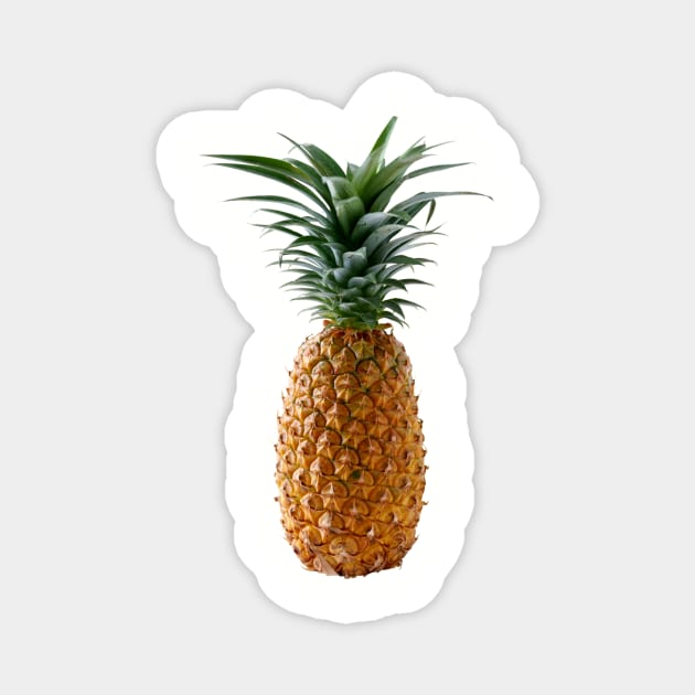 pineapple Magnet by ghjura