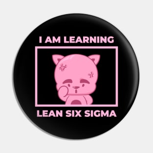 Learning Lean Six Sigma Pin