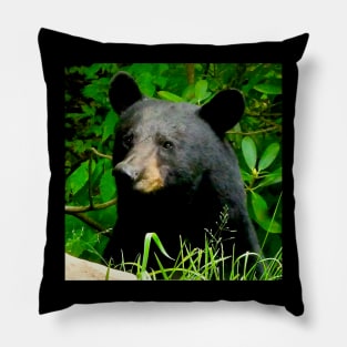 Blue Ridge Mountains Wild Black Bear Pillow