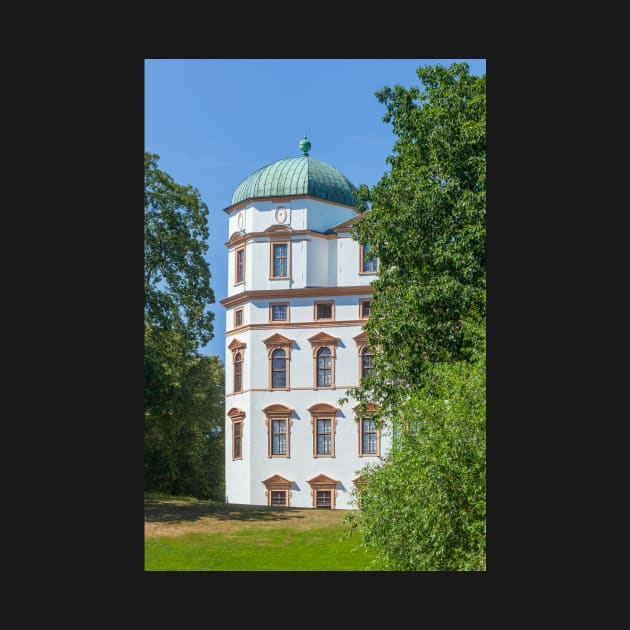 Ducal Castle, Celle, Lüneburg Heath, Lower Saxony, Germany by Kruegerfoto