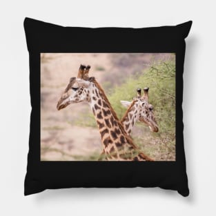 Giraffe Couple Pillow