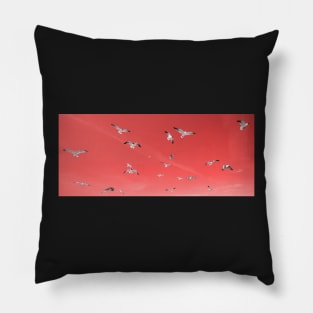 Seagulls in the sky, living coral pantone color 2019 Pillow