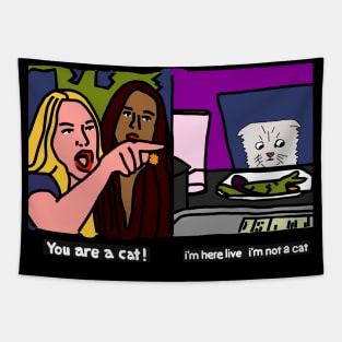 Woman Yelling at Cat Im Not a Cat Funny Memes Tapestry