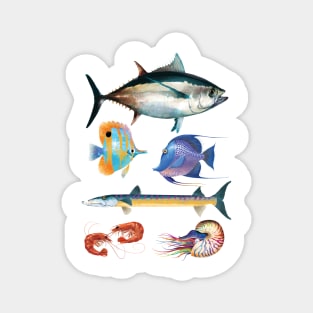 Fish Poster Magnet