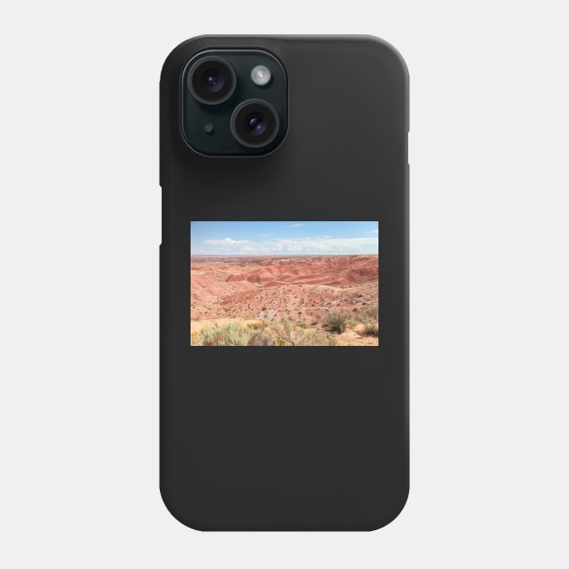 Painted Desert 2 Phone Case by jvnimages