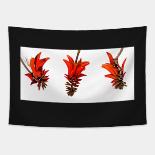 Scarlet Coral Tree Flowers Tapestry