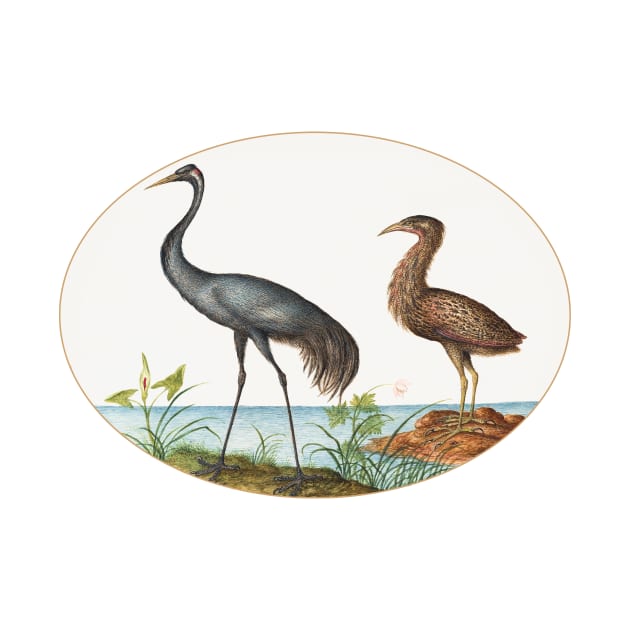 Crane and Bittern (1575–1580) by WAITE-SMITH VINTAGE ART