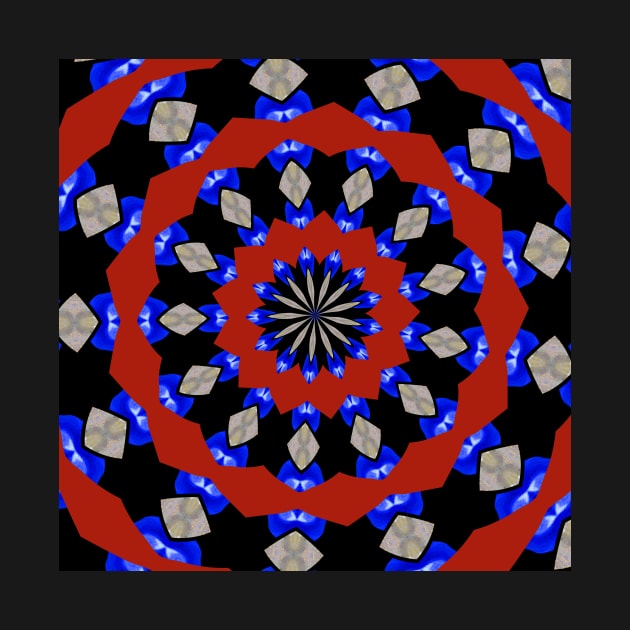 Red Gray Blue Kaleidoscope by Sarah Curtiss