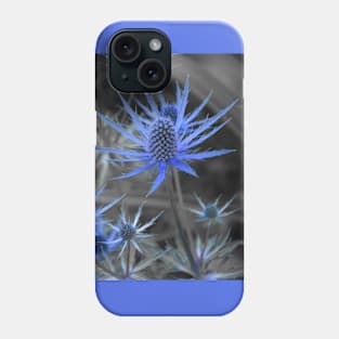 Blue Alpine Sea Holly Eryngium alpinum - Selective Color Phone Case