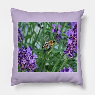 bee on lavender Pillow