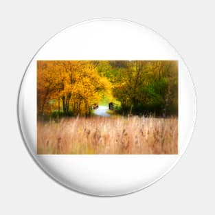 The Winding Prairie Path Pin