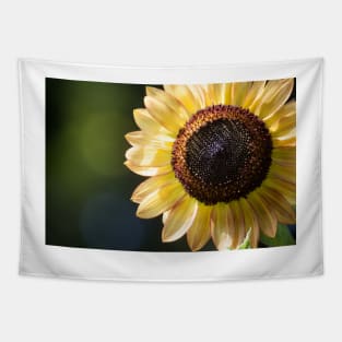 Sunflower Series V Tapestry