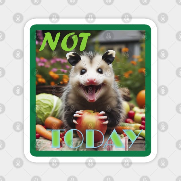 Joyful Opossum Magnet by BukovskyART