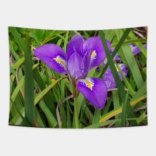 Algerian Iris Tapestry